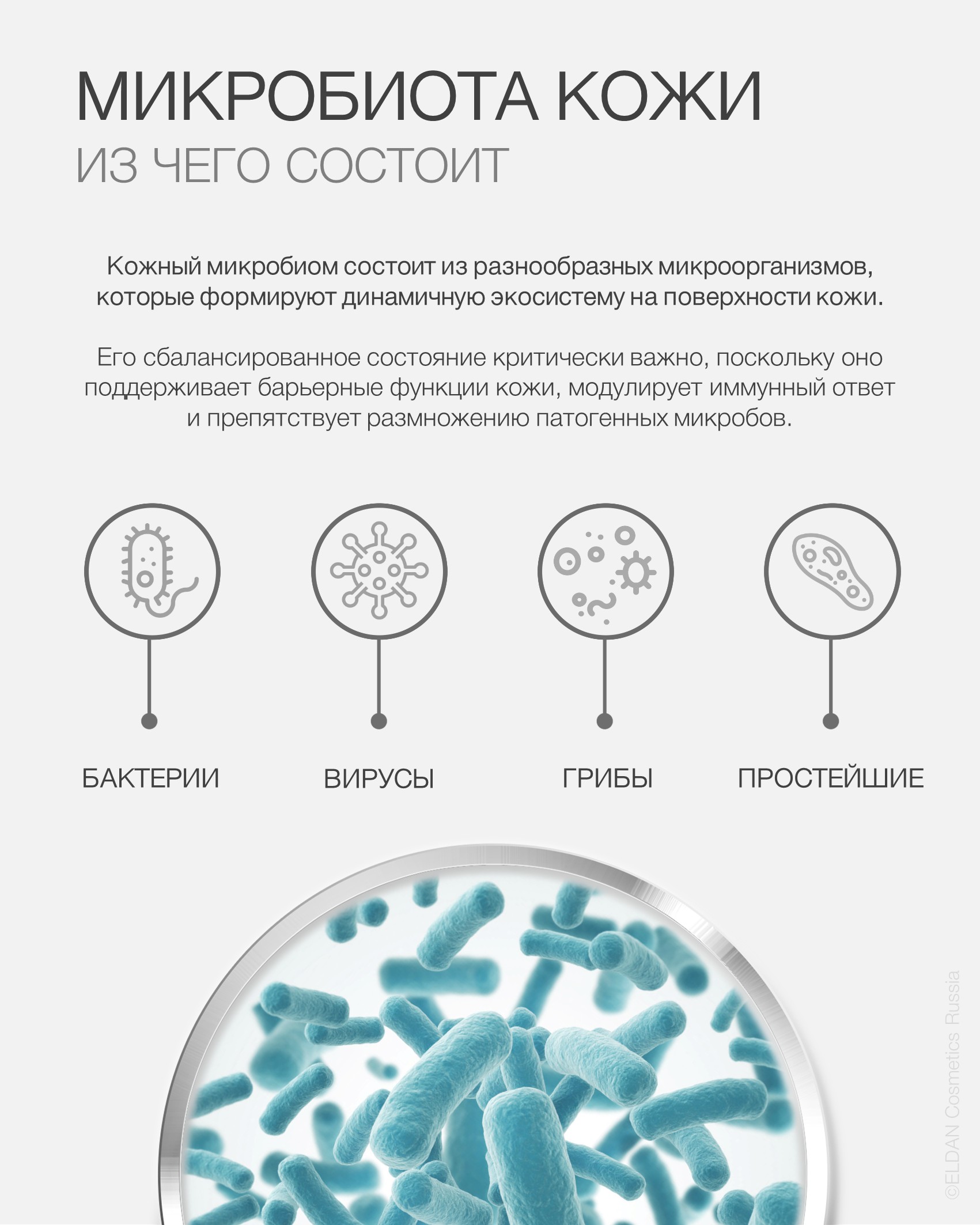 Пост состав микробиома 2.jpg Пост состав микробиома 2.jpg